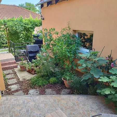 Holiday home Gabi Vendeghaz *